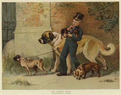 De huisdieren van mijn dame door John Charles Dollman